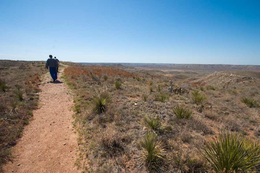 people walking on path