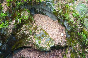 down into the pothole