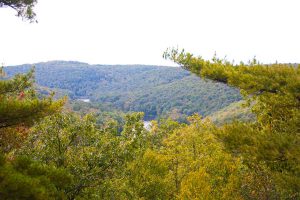 the view of the river below