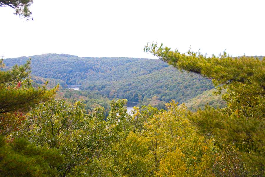the view of the river below