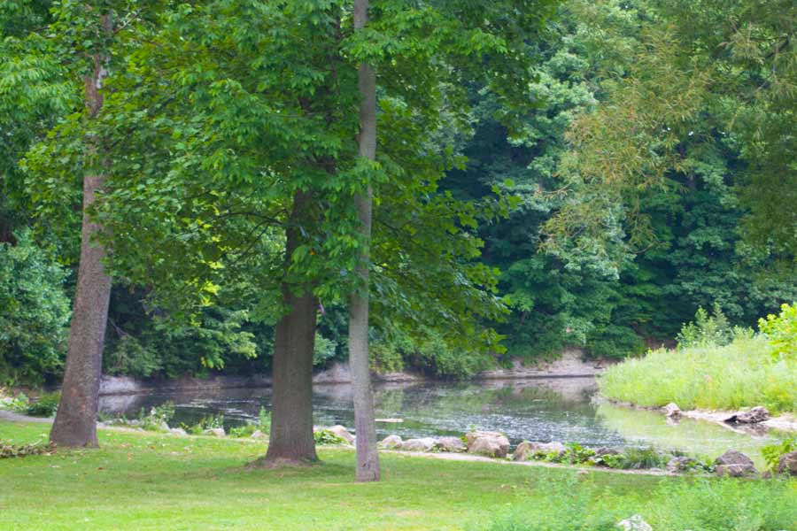 a grassy shore along a bend in the stream