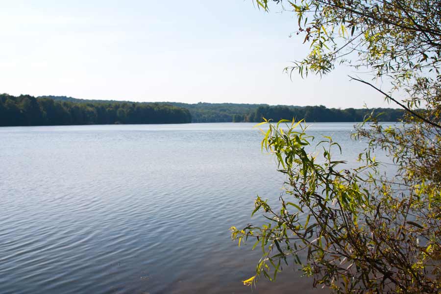 lake at Maurice K Goddard State Park