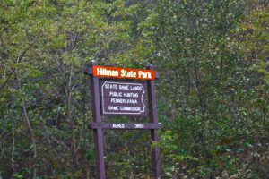 Hillman State Park State Game Lands Sign