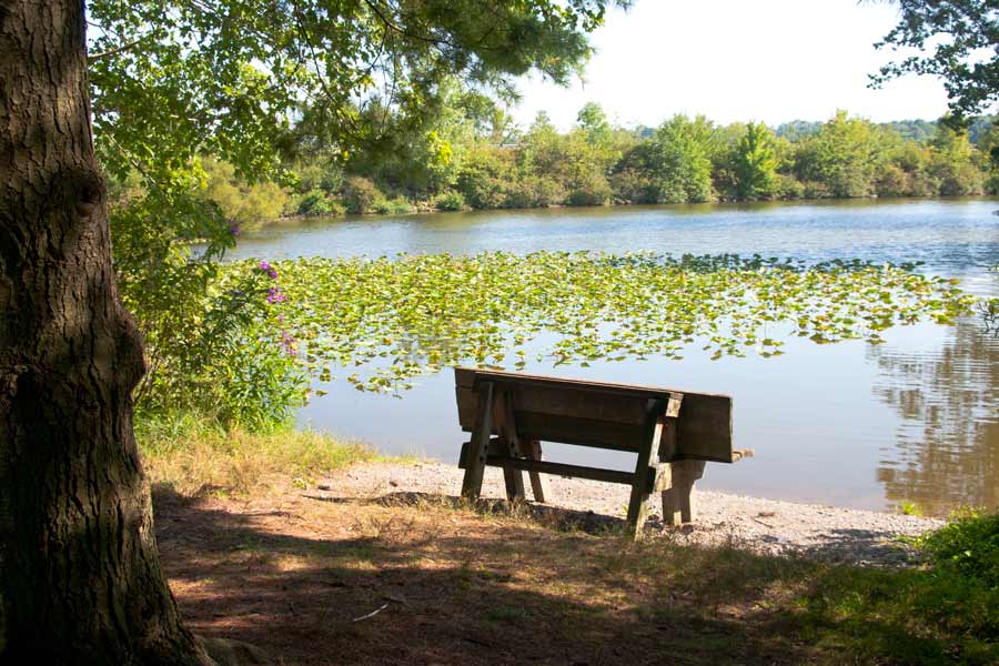 bench beside the lake