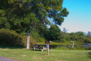a picnic table beside the lake