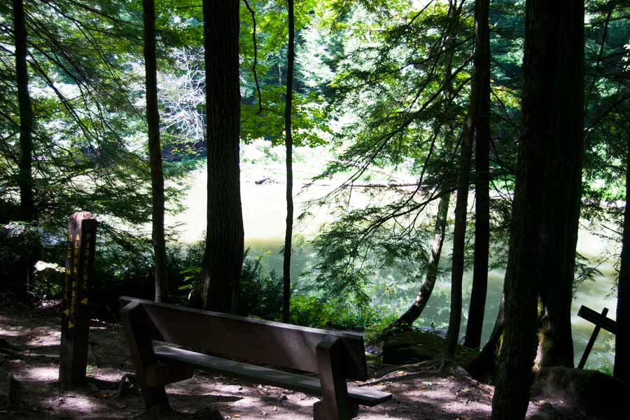 bench beside the river