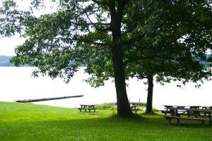 picnic tabless, tree, pier, and lake
