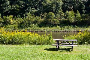picnic table beside stream