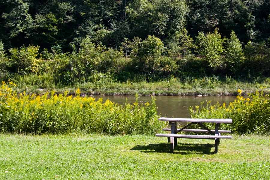 picnic table beside stream