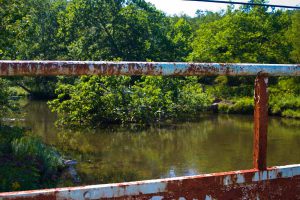 bridge railing over river
