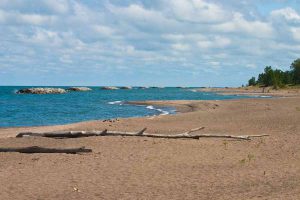 driftwood along the beach