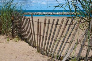 a wind break fence on the beach