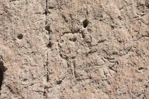 an ancient petroglyph