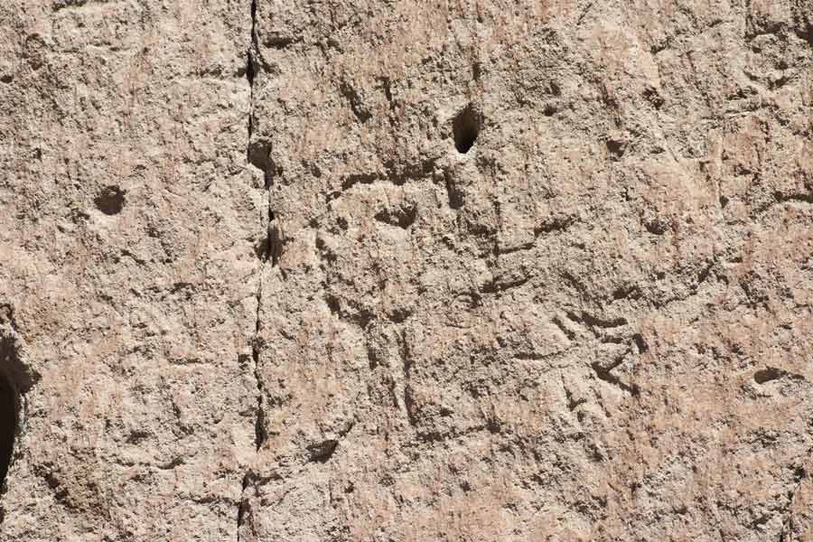 an ancient petroglyph