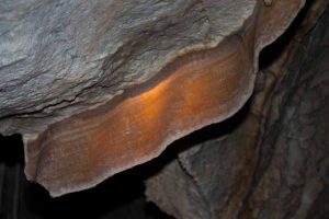 bacon formation in the cave