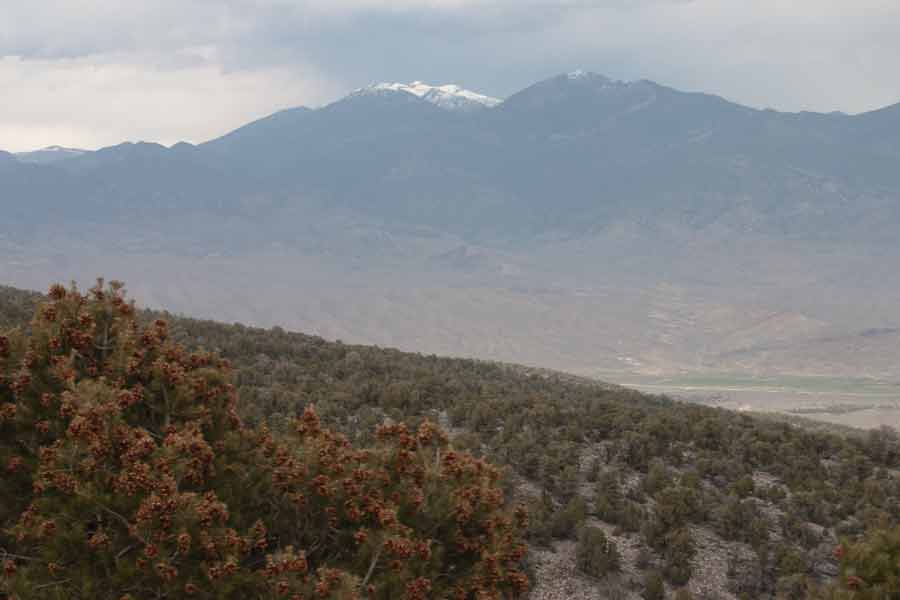 snow capped mountain in the distance