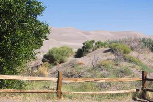 a fence in front of vegetated dunes with the larger dunes in the background