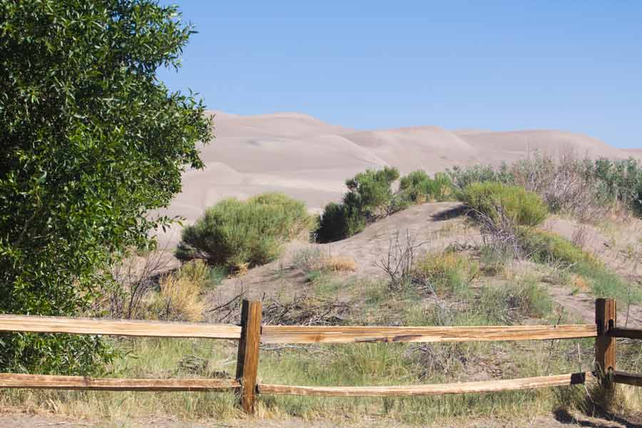a fence in front of vegetated dunes with the larger dunes in the background