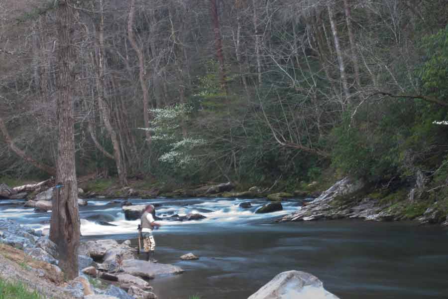 A man fishes in a stream.