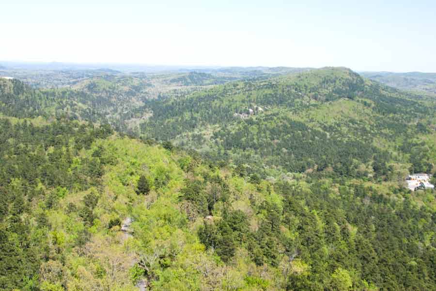 view from the top of the tower