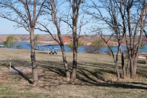 campsites through the trees
