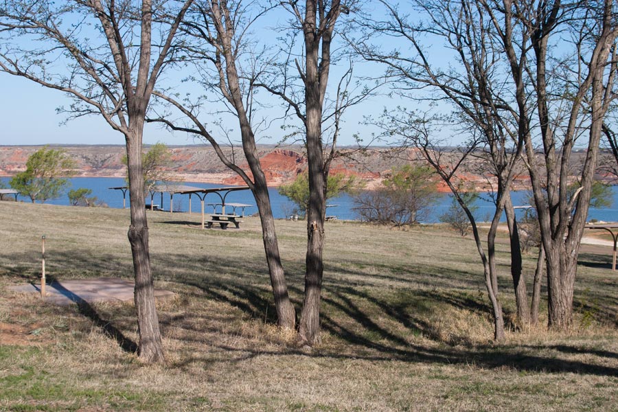 campsites through the trees