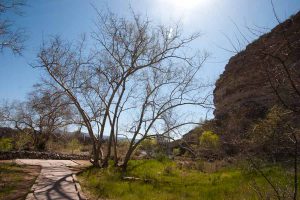 the path beside the cliff