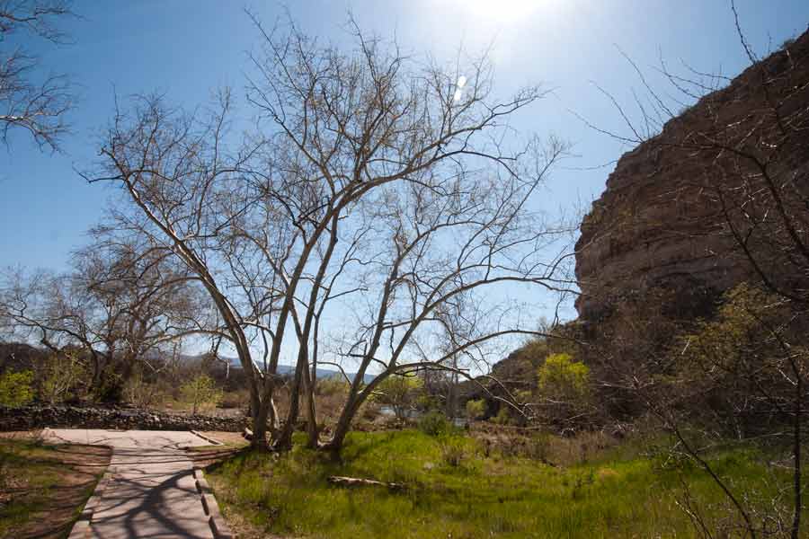 the path beside the cliff