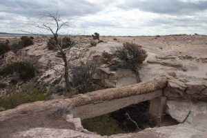 a long petrified log is held up by a stone structure
