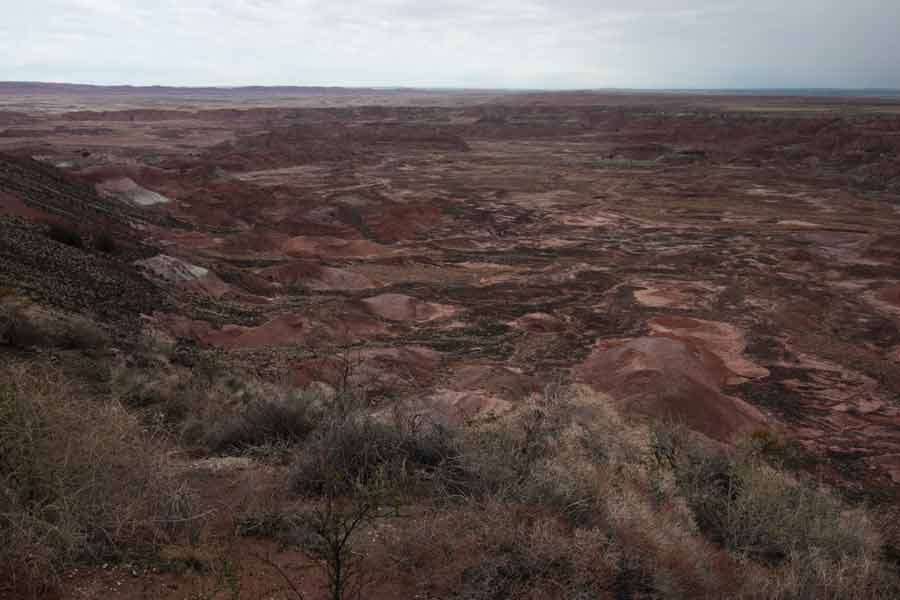painted desert