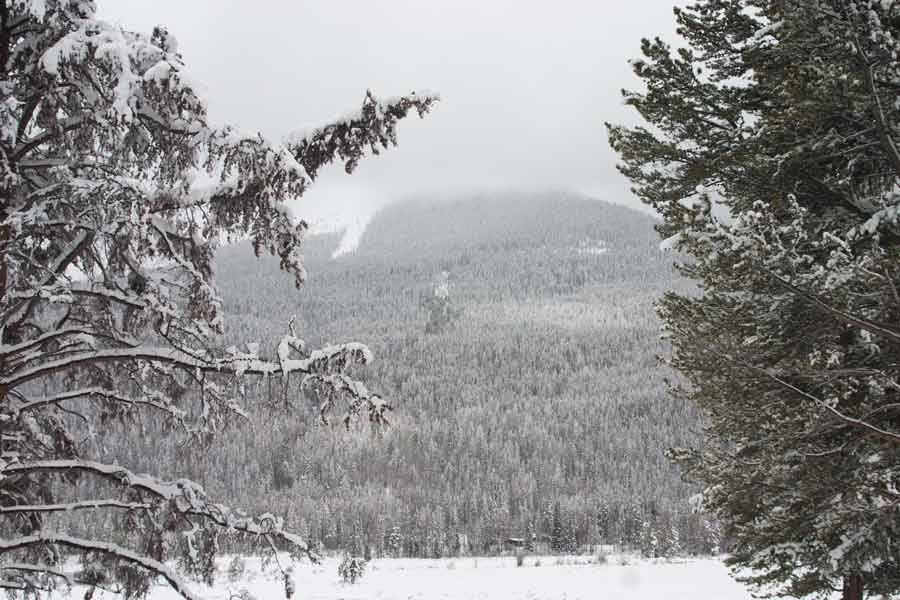 view of a nearby mountain