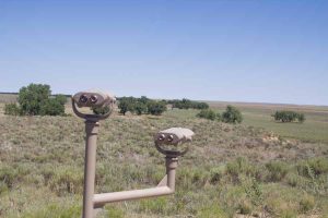 viewfinder overlooking creek