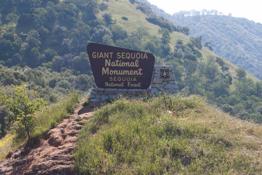 sign for Giant Sequoia National Monument in Sequoia National Forest