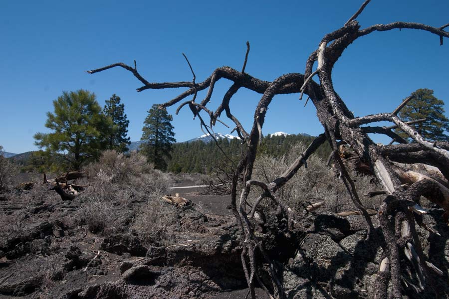 Sunset Crater Volcano National Monument