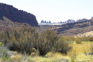 a long distance view of multiple formations