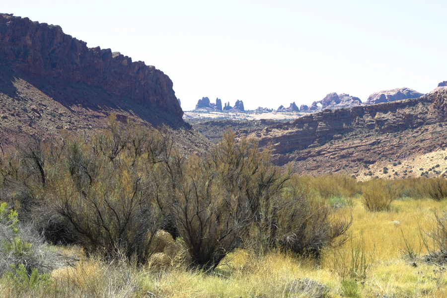 a long distance view of multiple formations