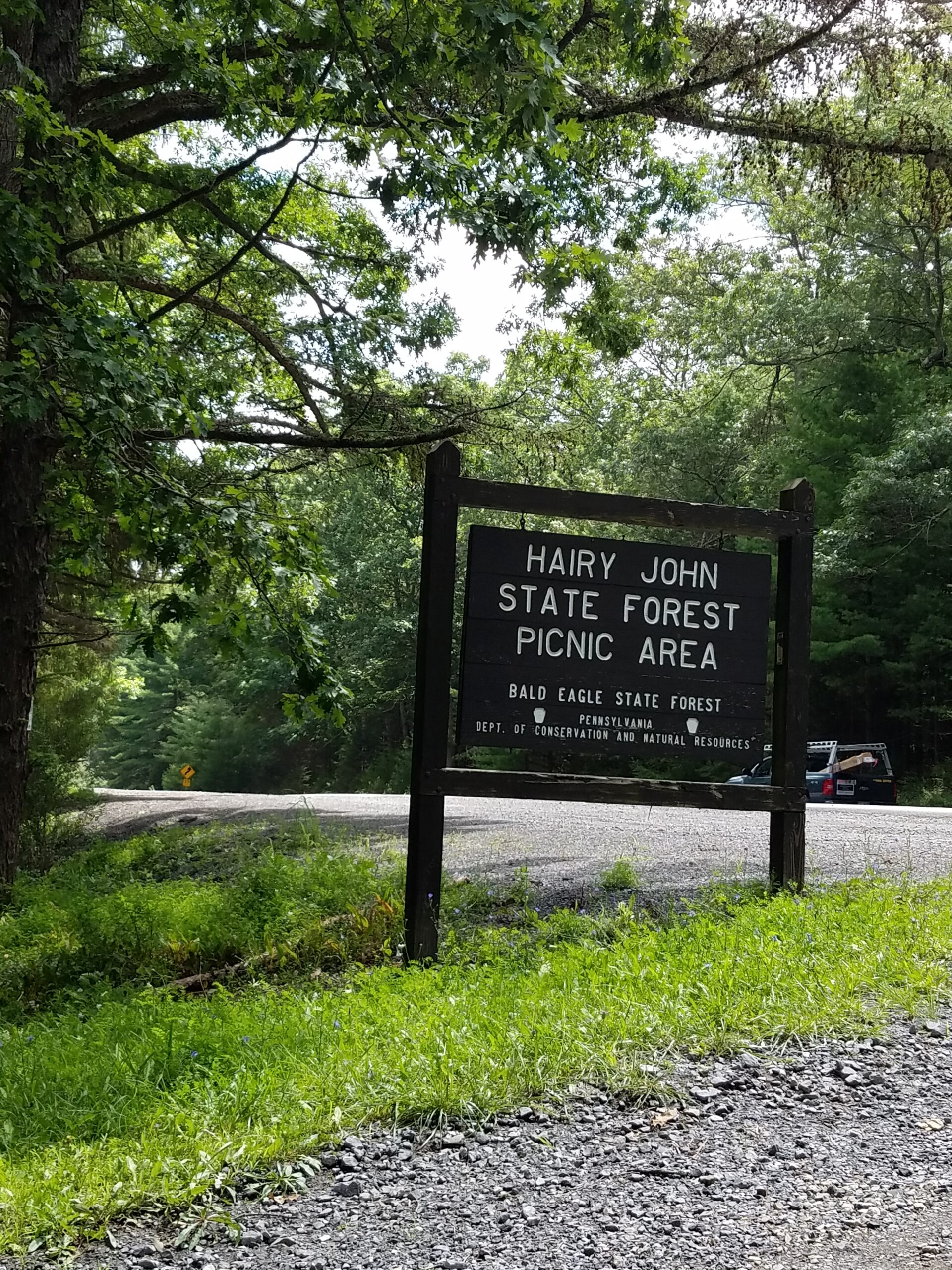 sign for Hairy John State Forest Picnic Area