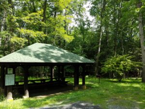 Bald Eagle State Forest pavilion