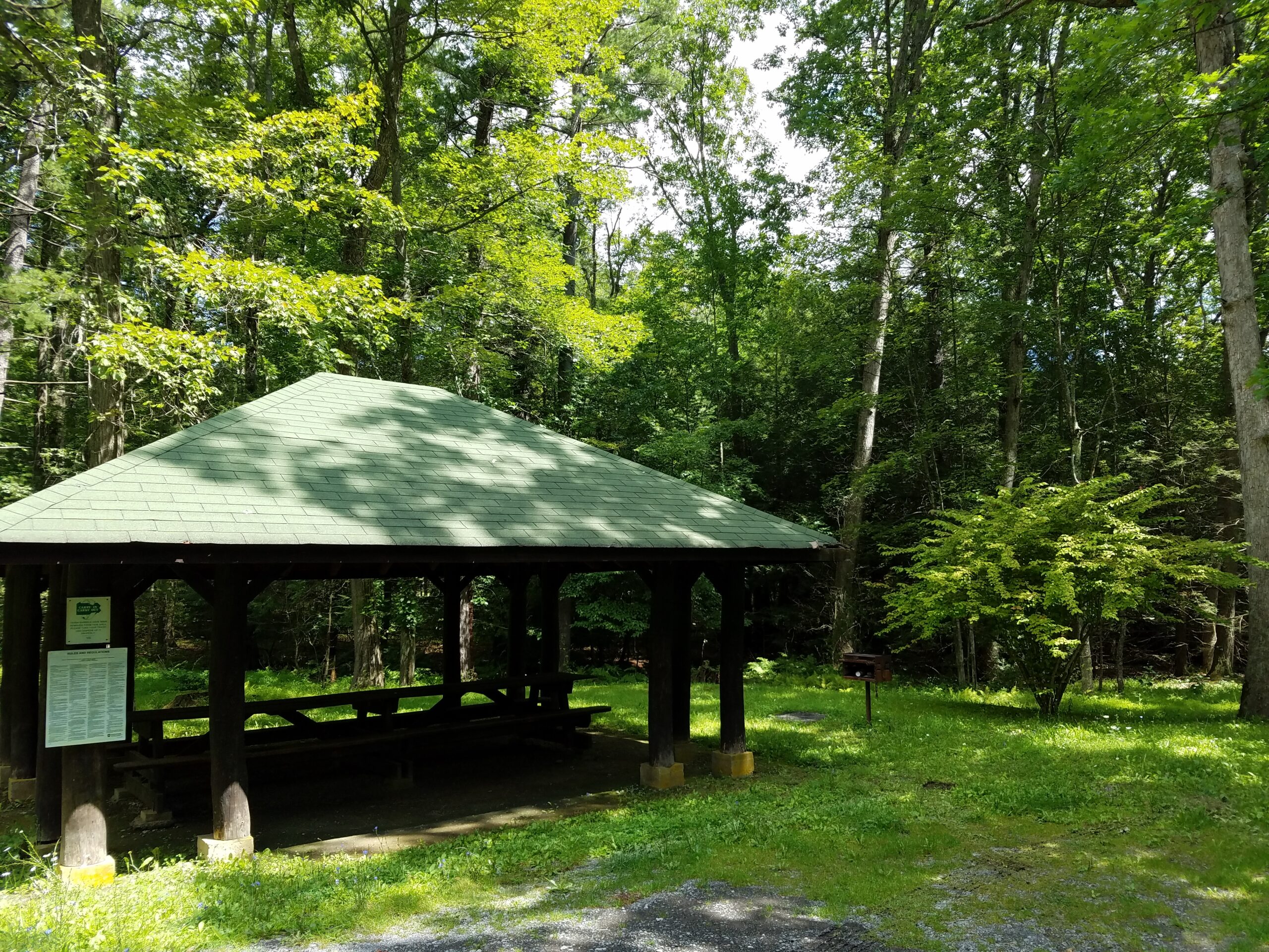 Bald Eagle State Forest pavilion