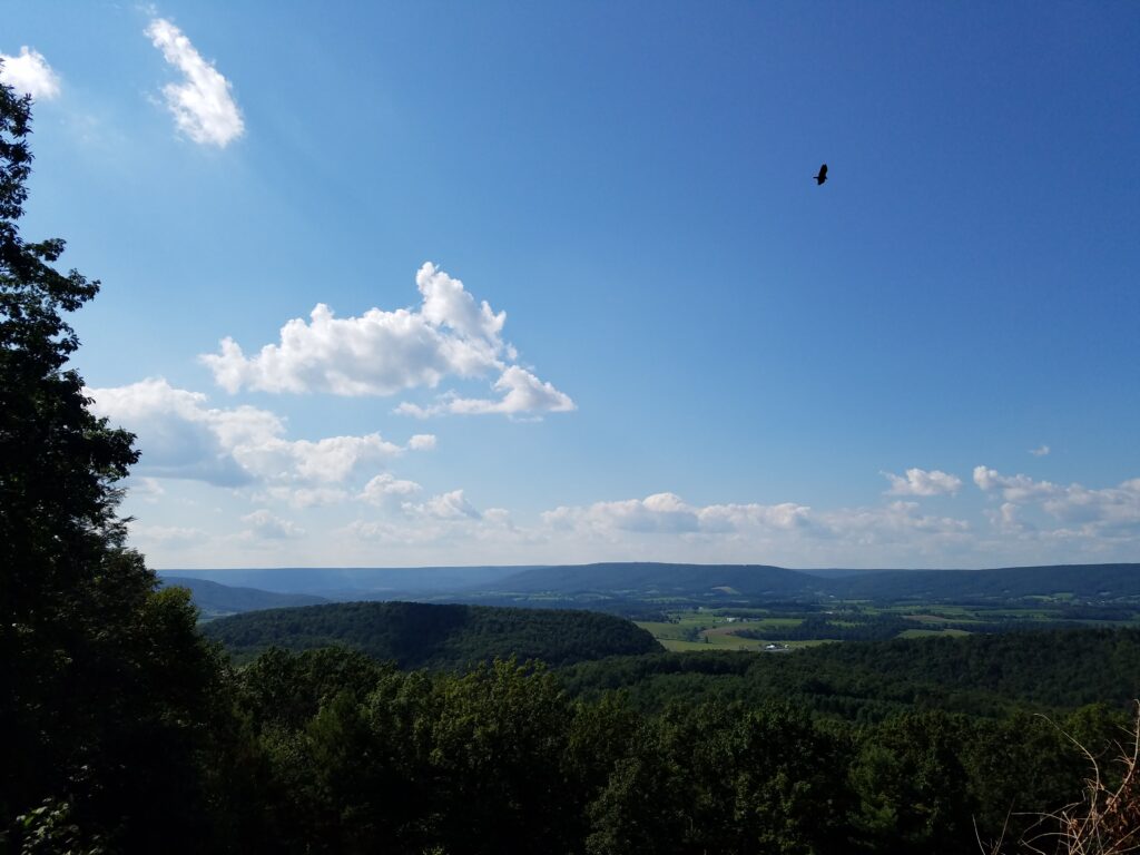 Bald Eagle State Forest, PA - The ParksBase