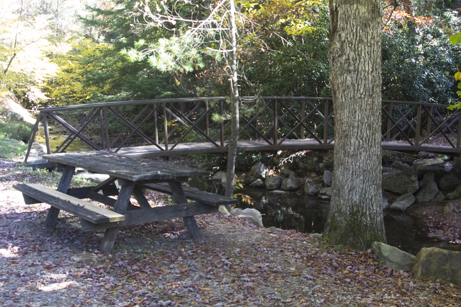 bridge and picnic table