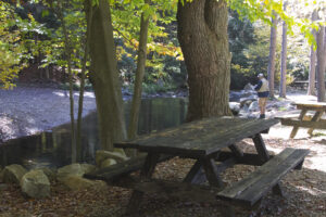 picnic table by stream