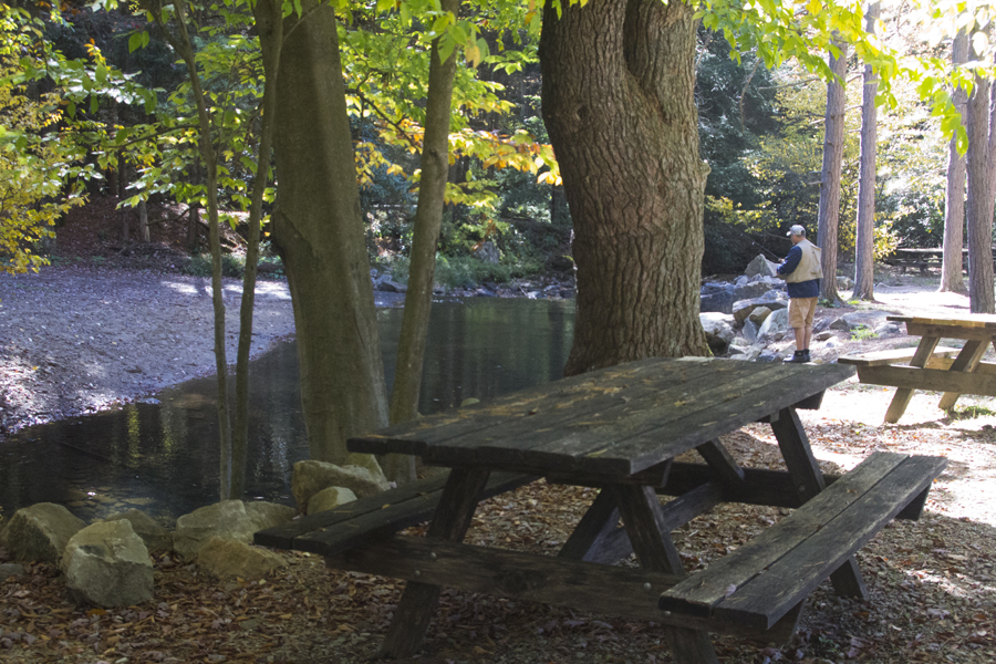 picnic table by stream
