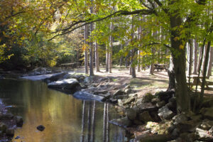 picnic tables beside stream
