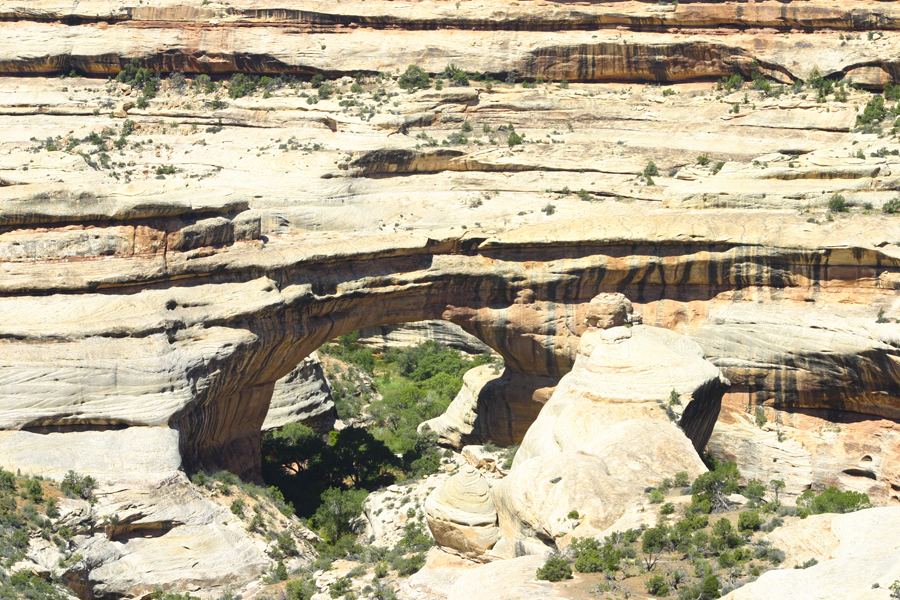 Natural Bridges National Monument