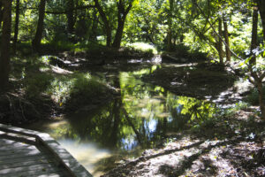 small stream flows under boardwalk