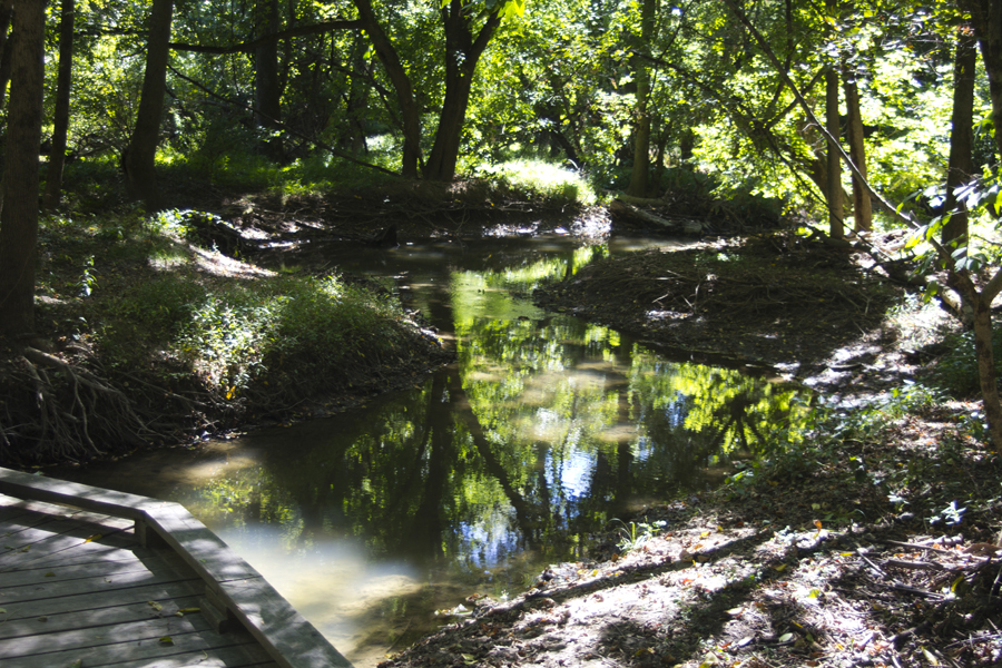 small stream flows under boardwalk