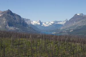 dead trees, snow-topped mountains, and a beautiful lake