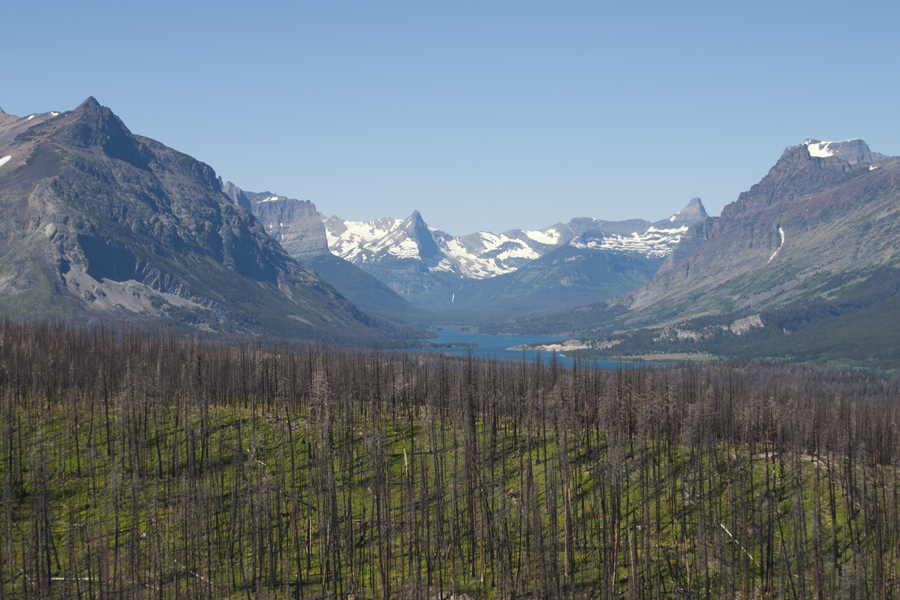 dead trees, snow-topped mountains, and a beautiful lake
