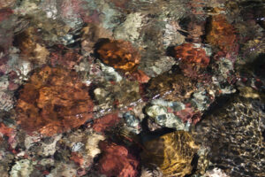 colorful rocky stream bed